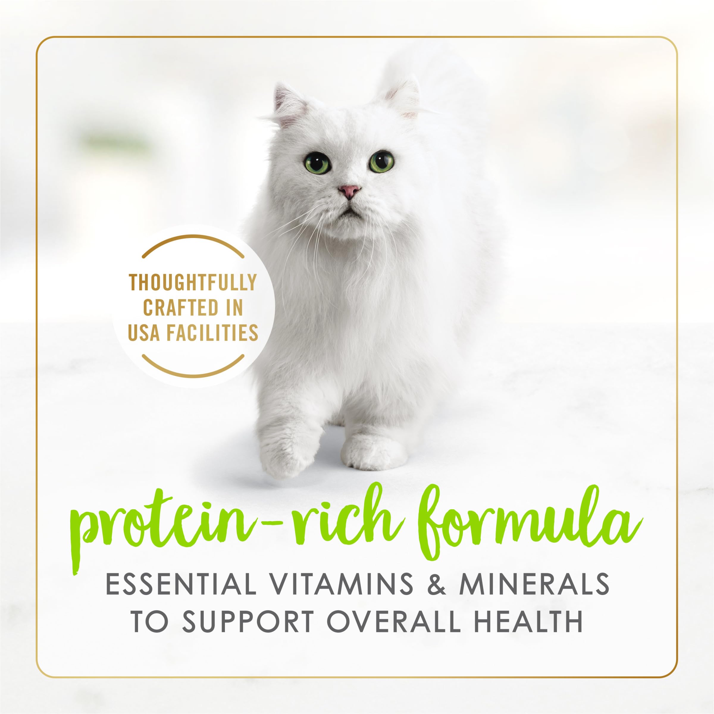 Fancy Feast Purina gros plan sur la texture pâté montrant onctuosité et facilité ingestion