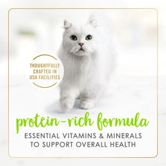 Fancy Feast Purina gros plan sur la texture pâté montrant onctuosité et facilité ingestion
