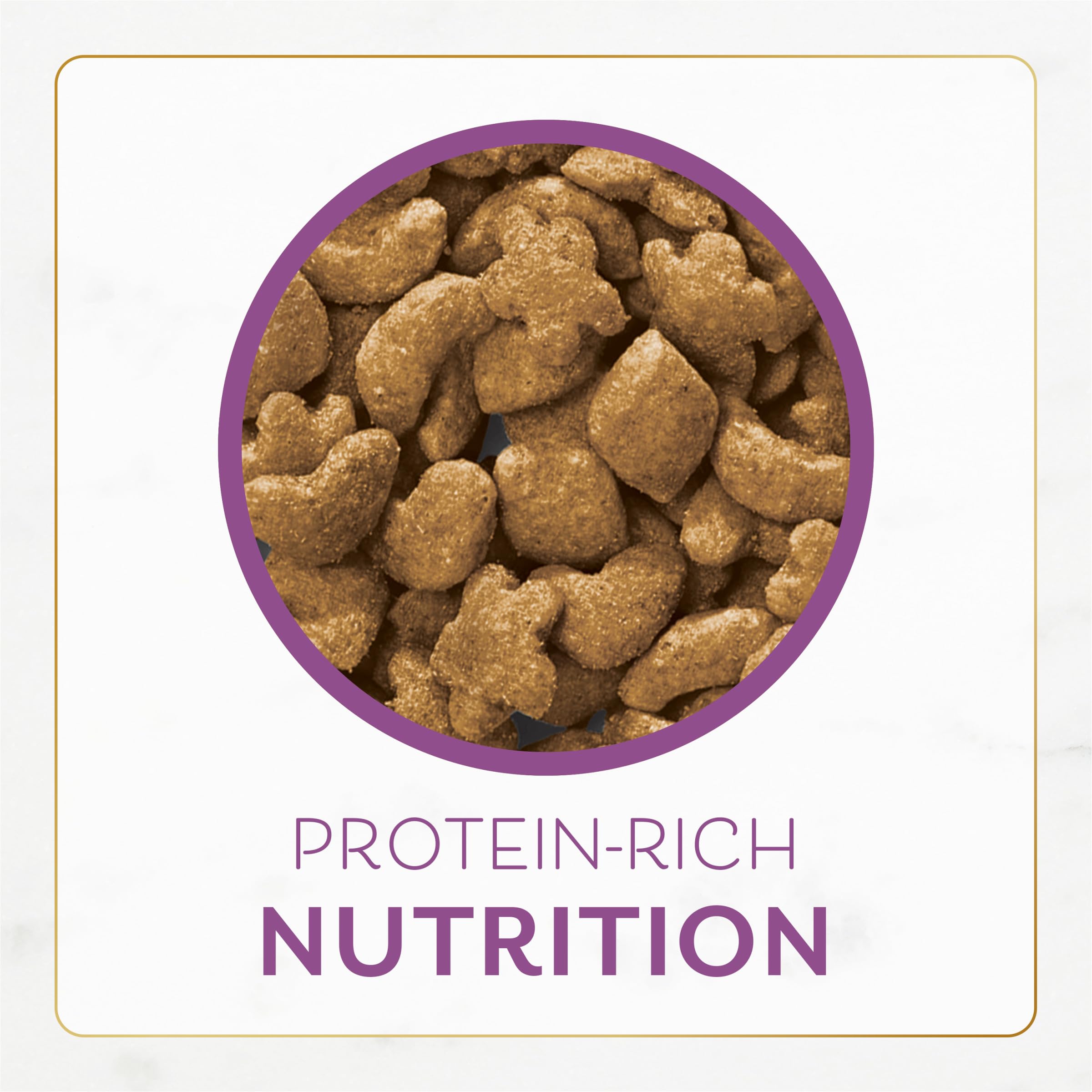 Fancy Feast sachet ouvert montrant remplissage et fraîcheur des croquettes