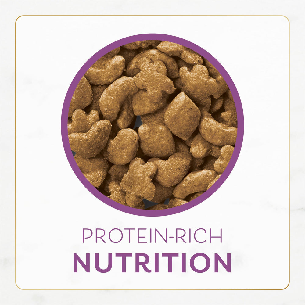 Fancy Feast sachet ouvert montrant remplissage et fraîcheur des croquettes