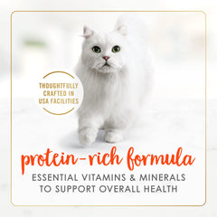 Fancy Feast boîte ouverte prêt à servir pour un repas rapide
