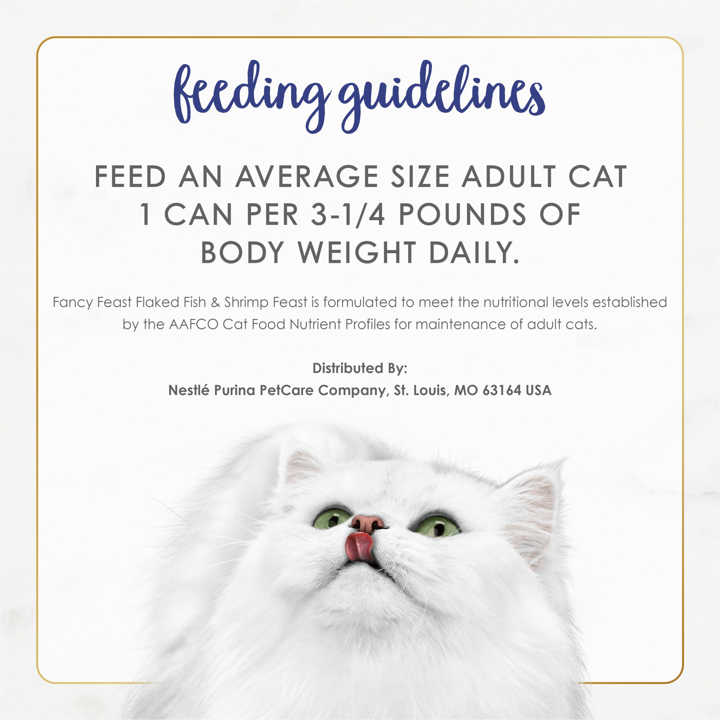 Fancy Feast service dans une assiette blanche, présente une portion appétissante