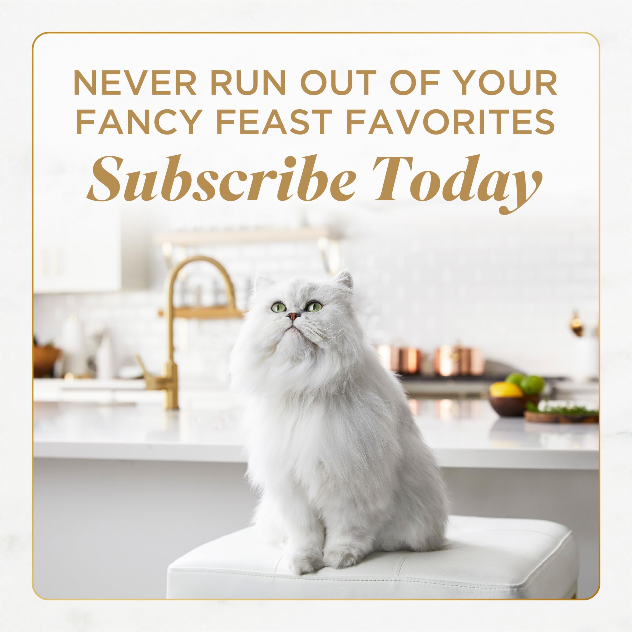 Fancy Feast comparaison de taille avec une main, portion individuelle