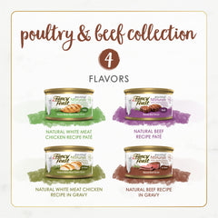 Fancy Feast gros plan pâté montrant texture appétissante pour chat