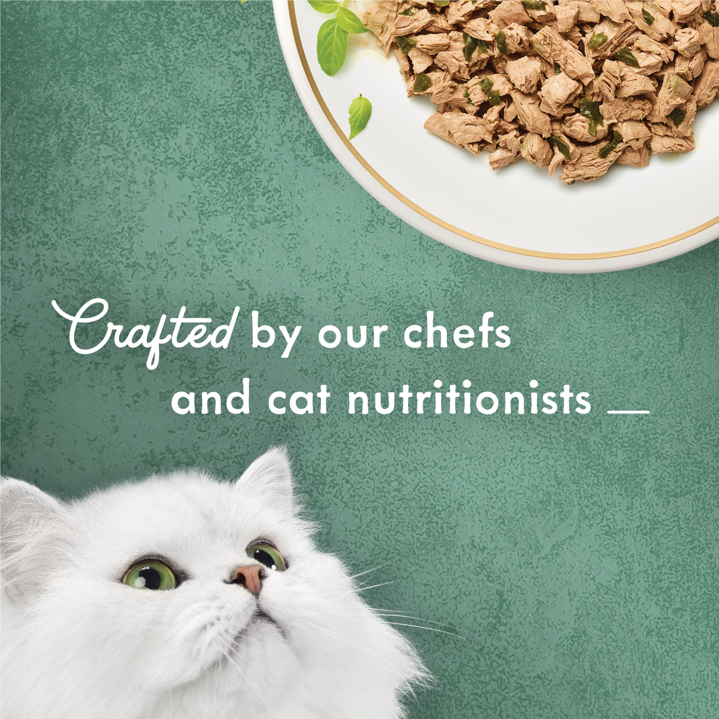 Fancy Feast zoom sur épinards, avantage touche végétale appétissante