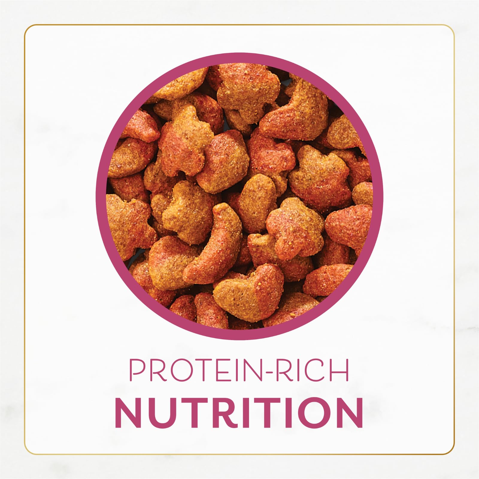 Fancy Feast usage croquettes dans un bol montrant facilité de service