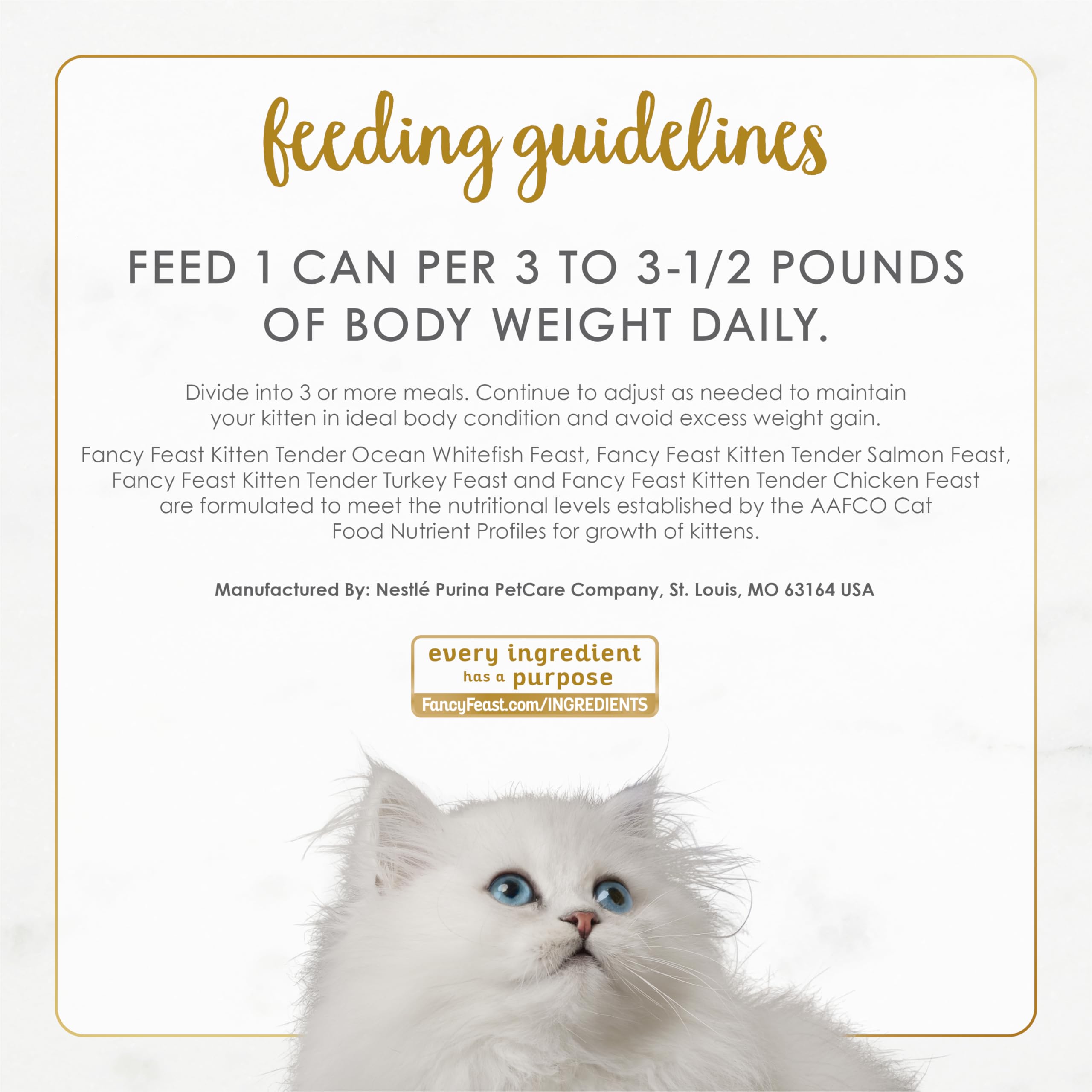 Fancy Feast chaton qui mange dans une cuisine illustrant appétence et confort