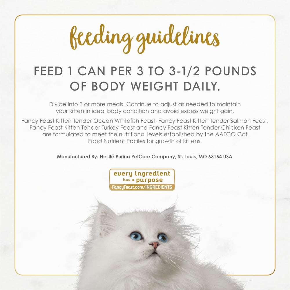 Fancy Feast chaton qui mange dans une cuisine illustrant appétence et confort