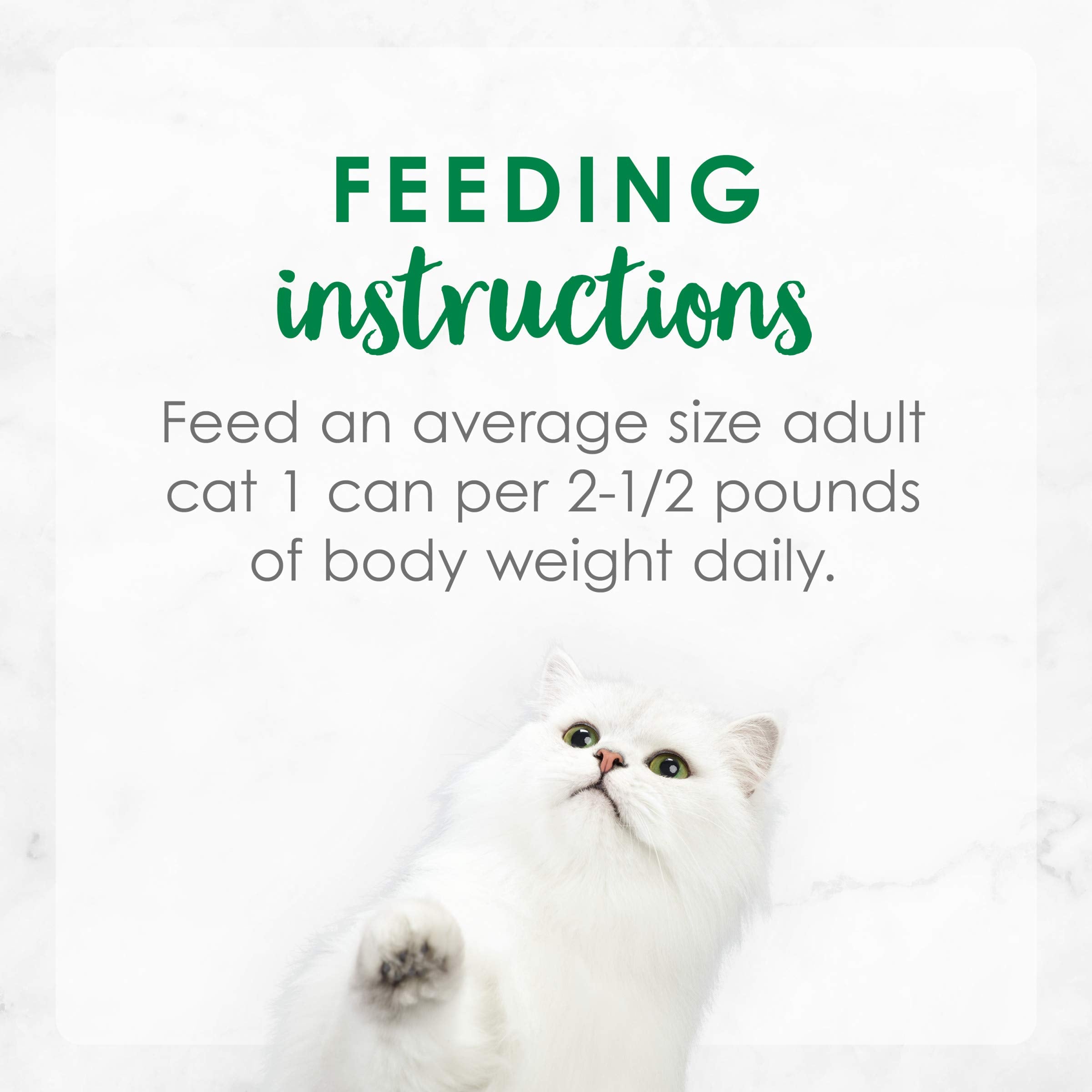 Fancy Feast zoom sur petits légumes verts ajoutant attrait visuel