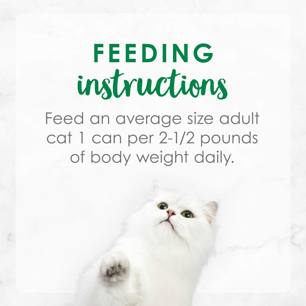 Fancy Feast zoom sur petits légumes verts ajoutant attrait visuel