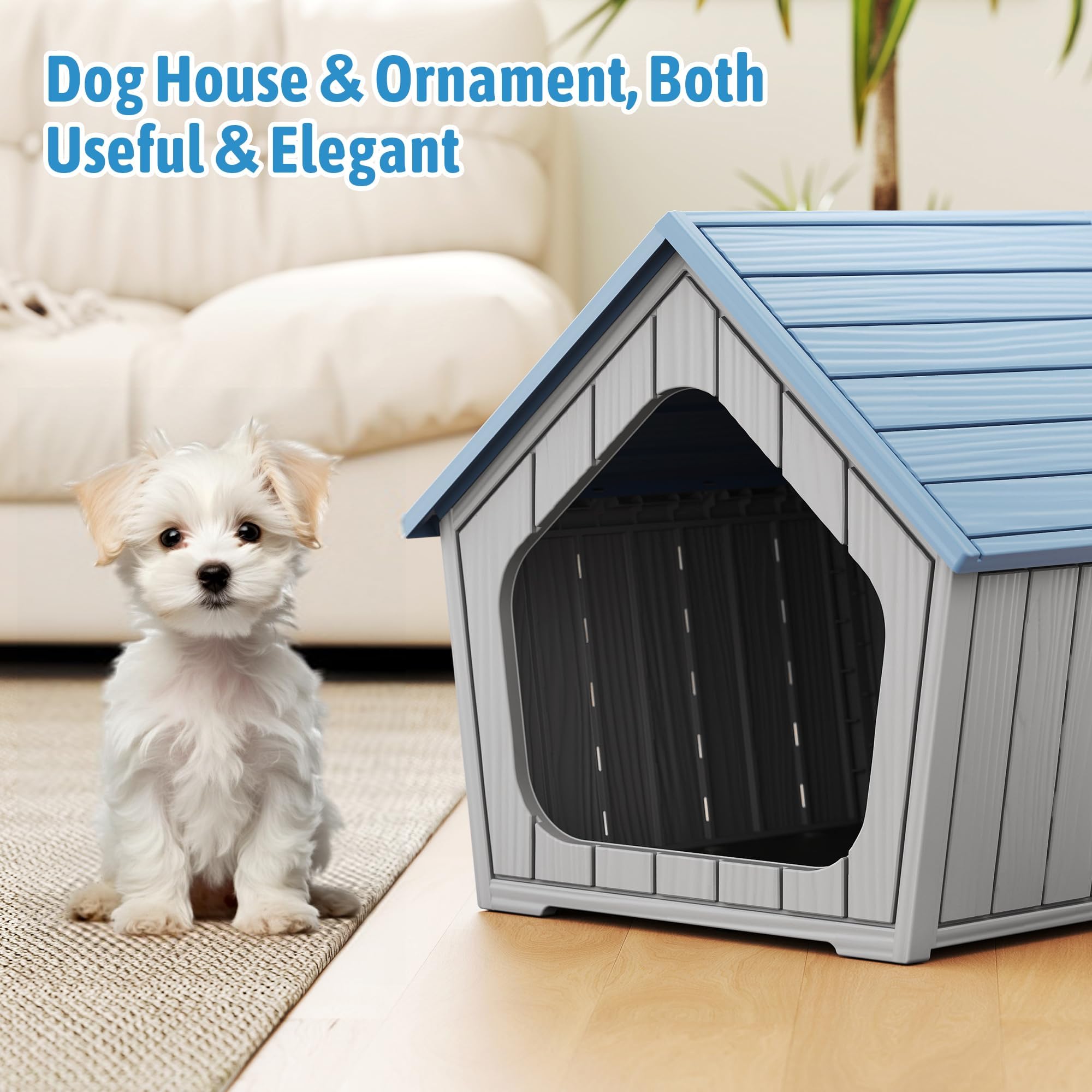 Fancyango niche installée dans un salon moderne pour petit chien