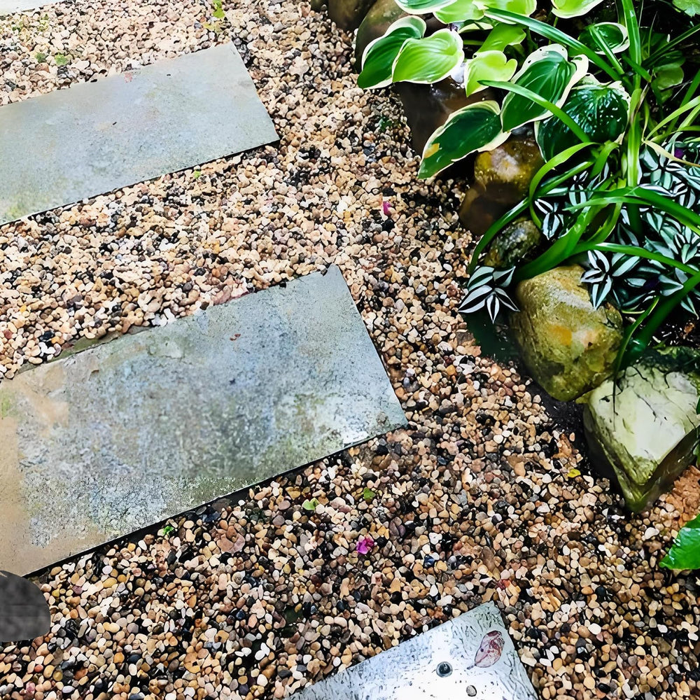 FANTIAN utilisation dans un terrarium créant un décor naturel et stable