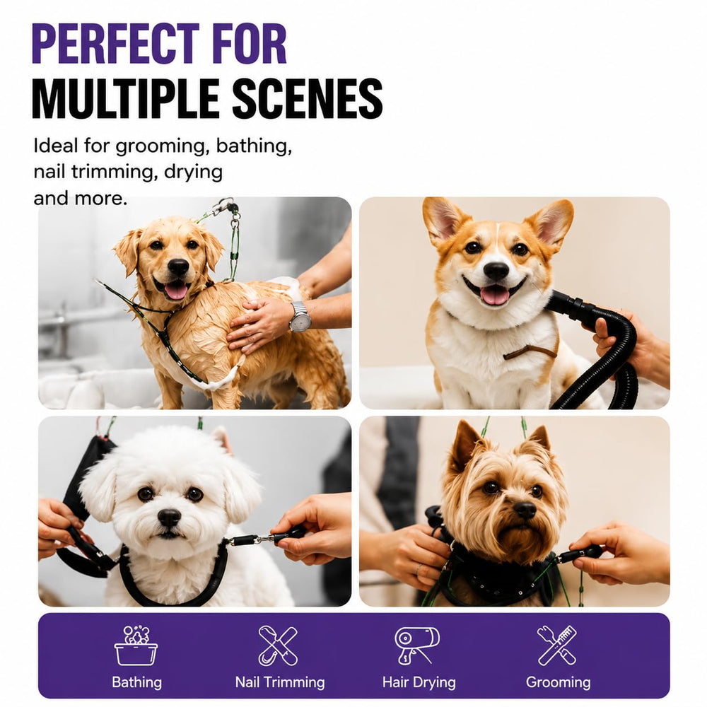 FANXSVL support no-sit maintenant le chien debout pour un accès facile