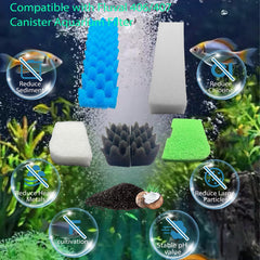 FAPBCC sachets de charbon actif illustrant adsorption d'odeurs et clarification