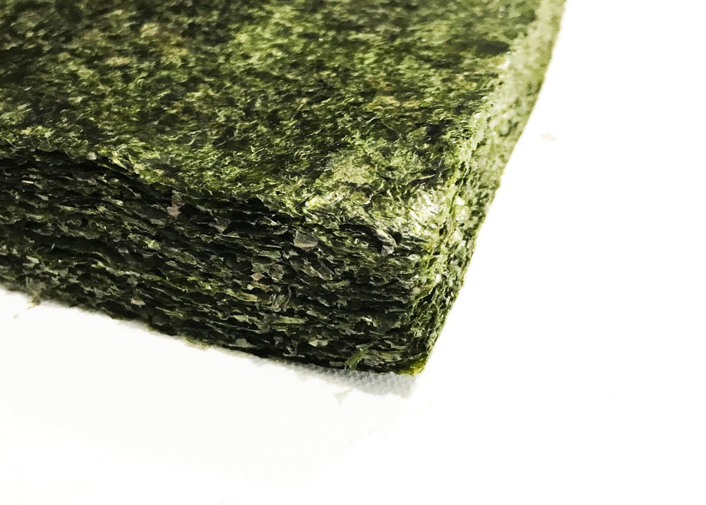 Far Edge Aquatics gros plan texture d'algue séchée, apparence intacte et durable