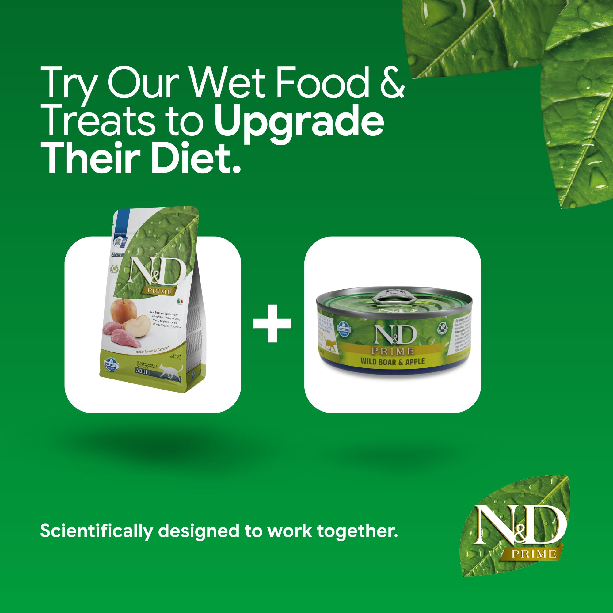 Sac Farmina N&D rangé proprement en cuisine pour conservation optimale