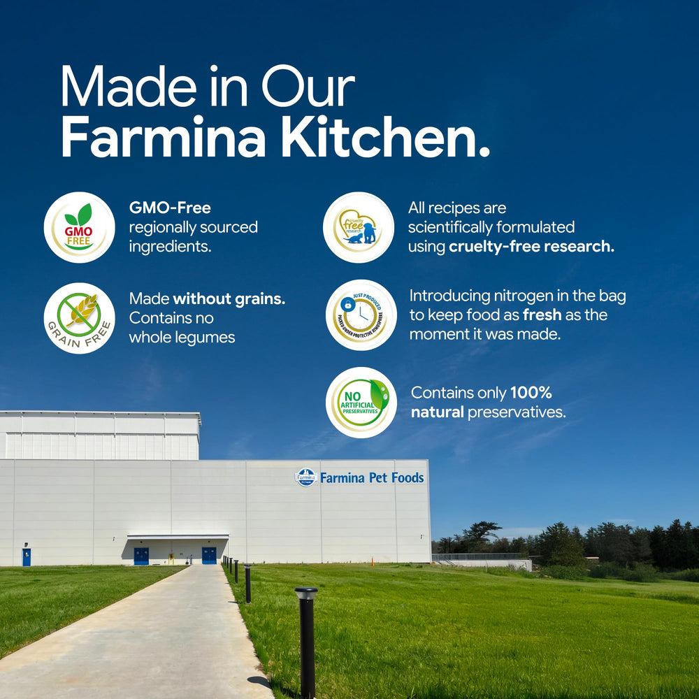Farmina citrouille et psyllium montrant fibres douces pour digestion saine