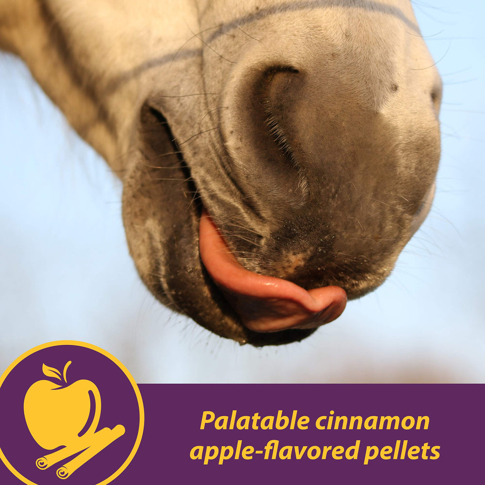 Farnam Horse Health scène équestre montrant utilisation pratique au quotidien