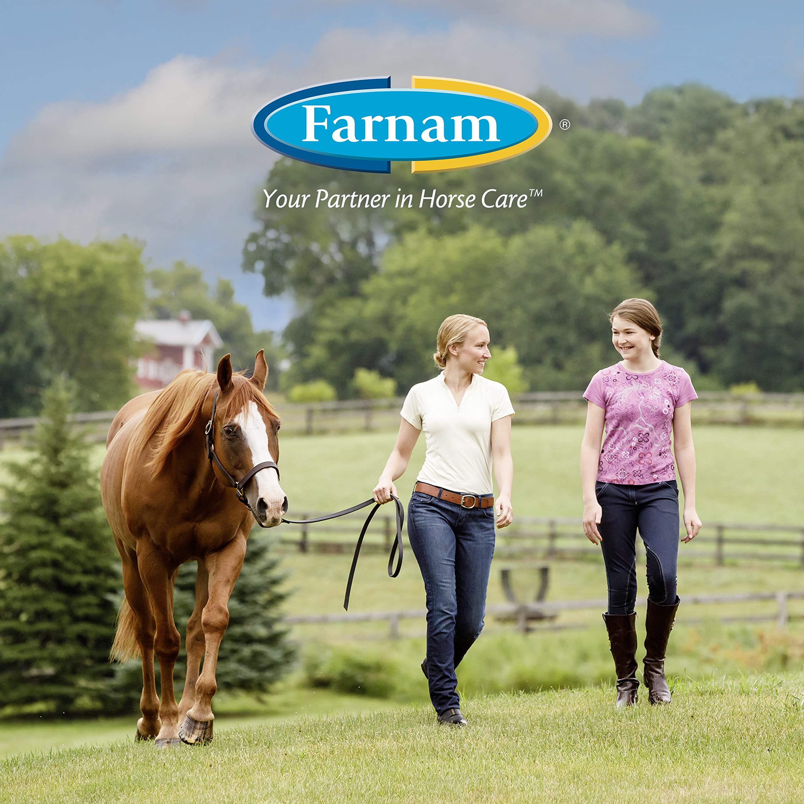 Farnam zoom sur minéraux essentiels pour solidité du sabot