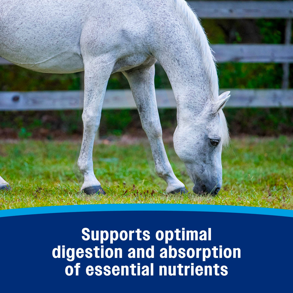 Farnam application orale sur cheval pour soutien digestif lors de stress