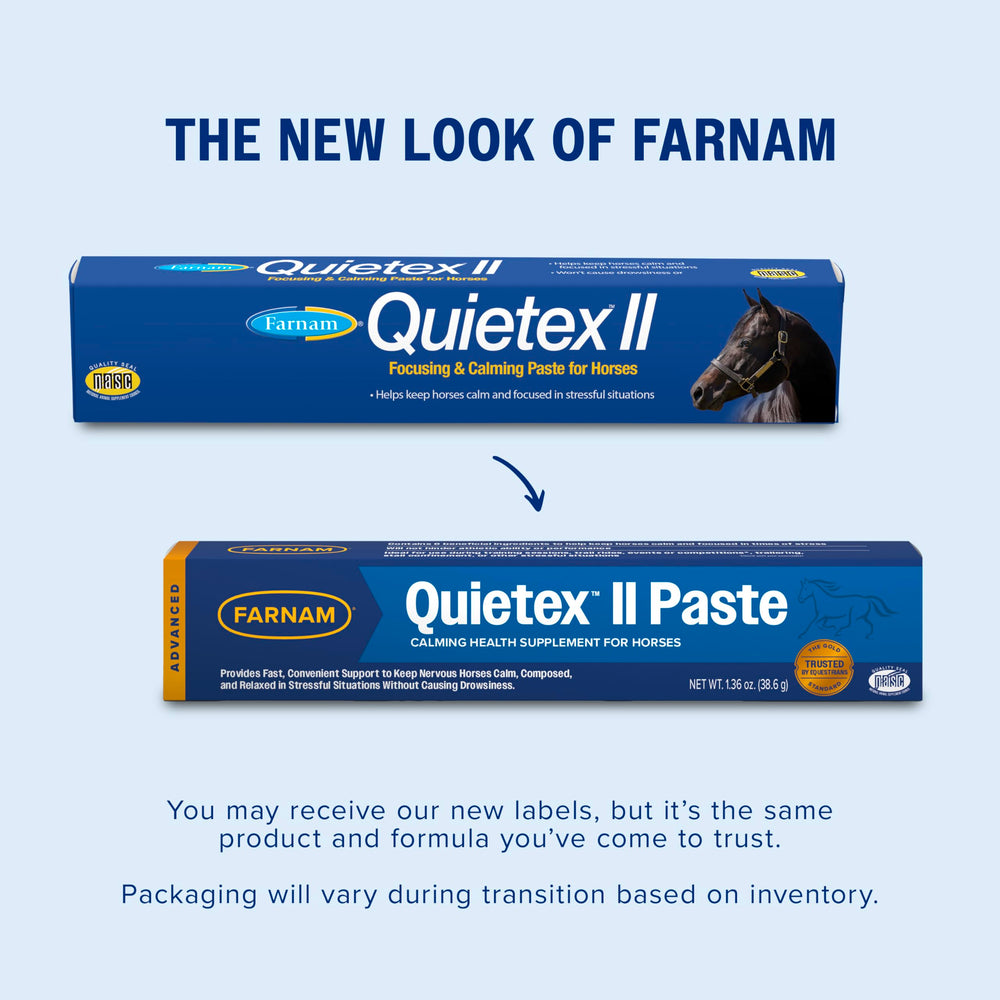 Farnam application buccale montrant tranquillité immédiate du cheval