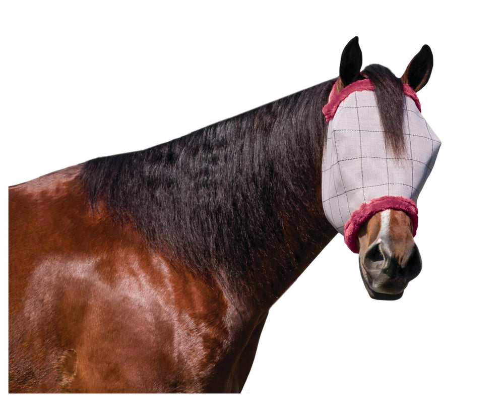 Farnam vue avant du masque protégeant le visage, confort et visibilité