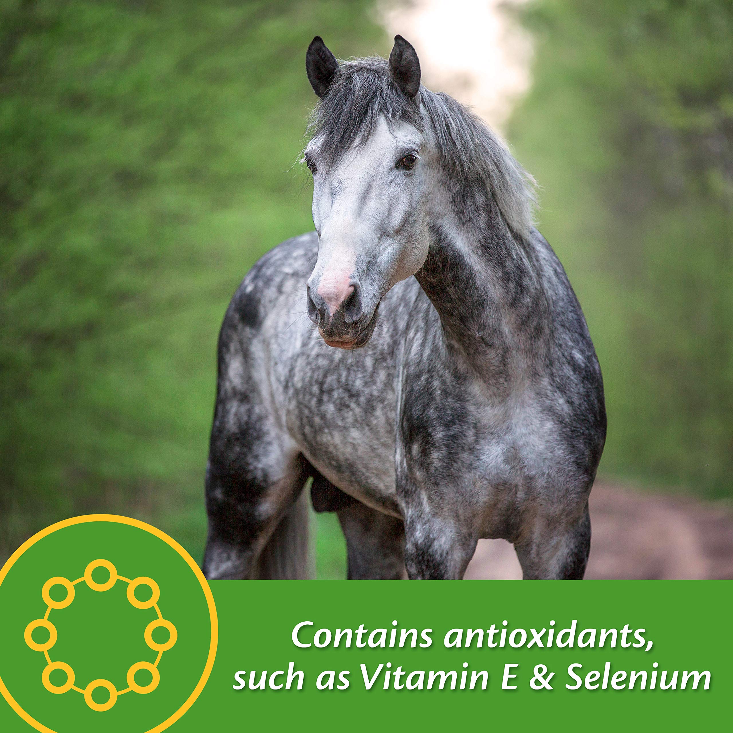 Farnam produit à côté d’un cheval en prairie suggérant soutien performance