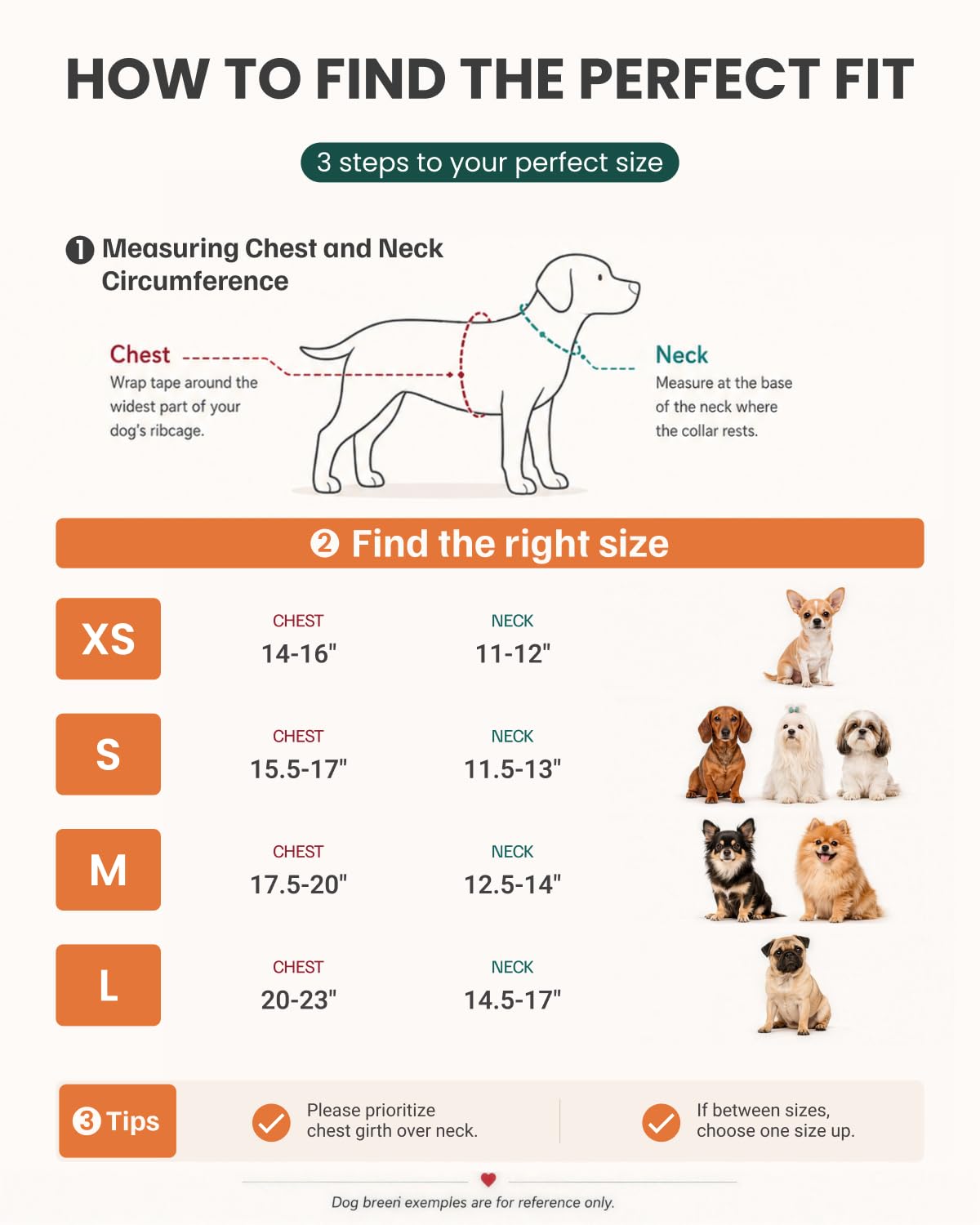 FAYOGOO comparaison taille S sur petit chien pour guidage d’achat précis