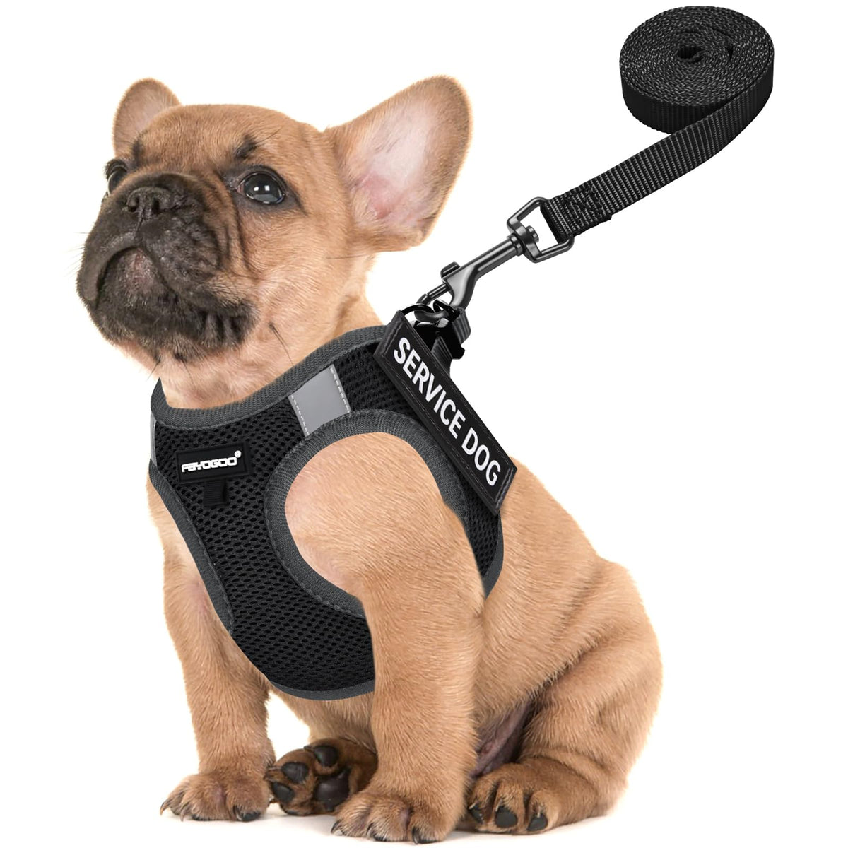FAYOGOO gilet face avant montrant fit et visibilité pour promenades sécurisées