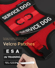 FAYOGOO panneaux velcro avec patches, identification claire