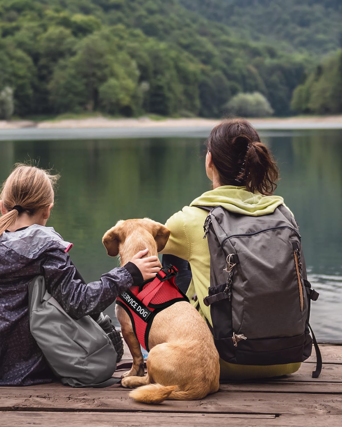 FAYOGOO ensemble gilet et laisse prêt à ranger pratique