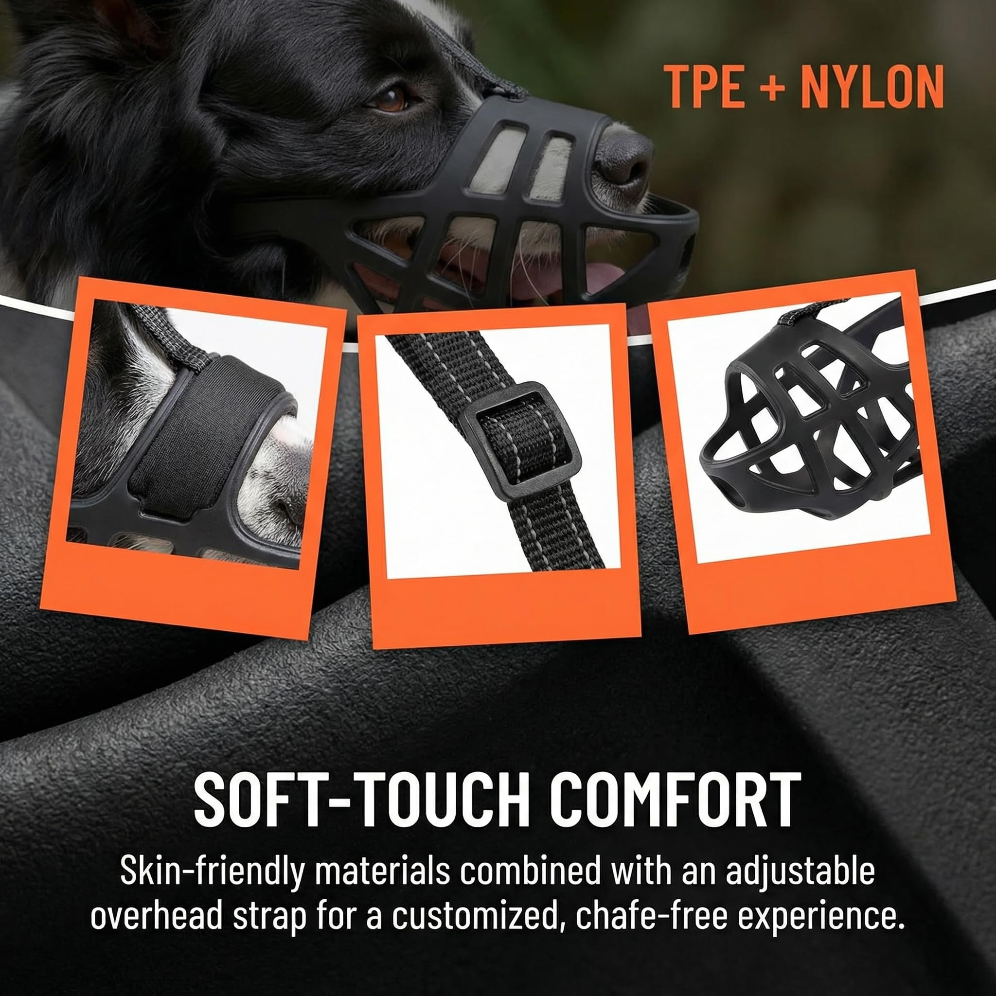 fazvuqa comparaison taille montrant dimensions pour chiens très grands