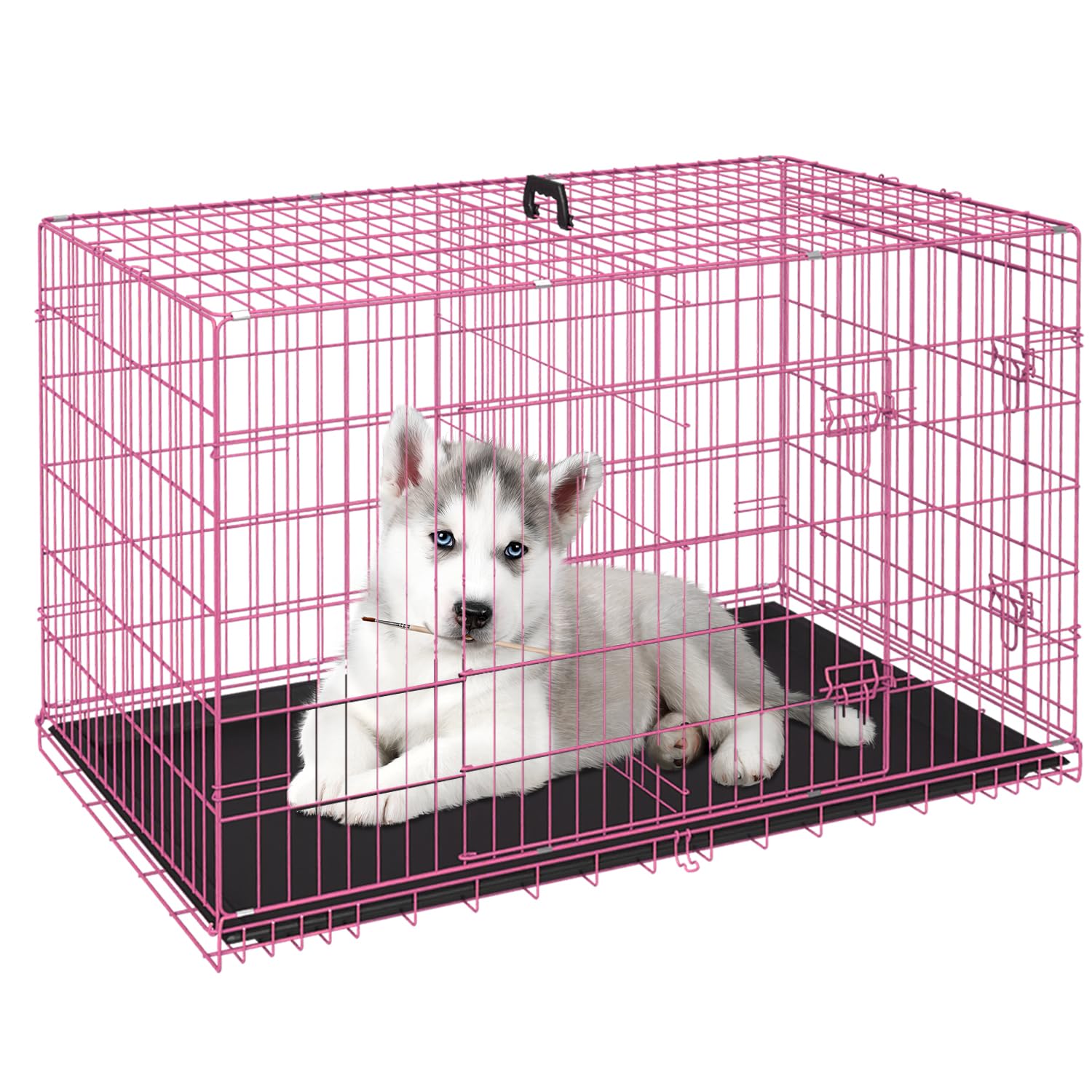 FDW cage 24" face avant montrant double porte et sécurité