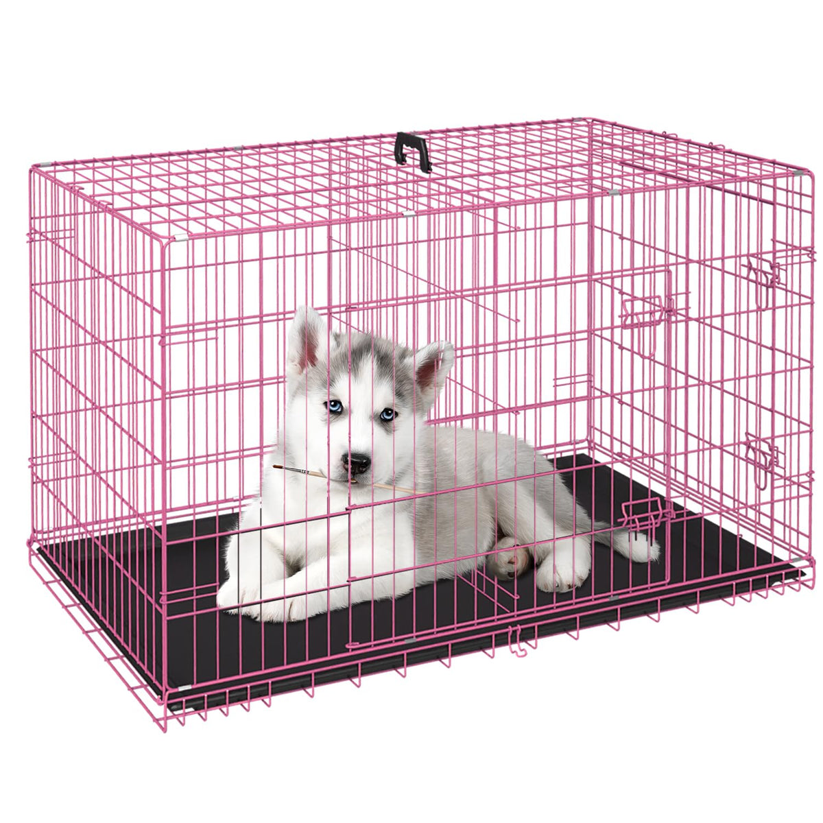 FDW cage 24" face avant montrant double porte et sécurité