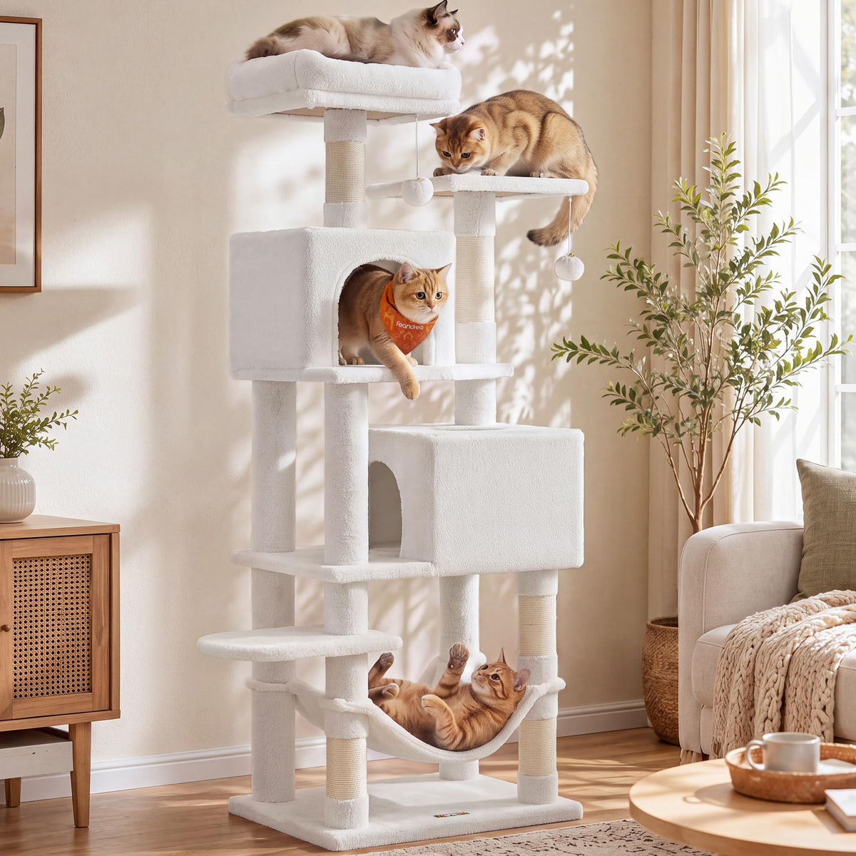 FEANDREA arbre à chat face complète montrant tous les niveaux et confort