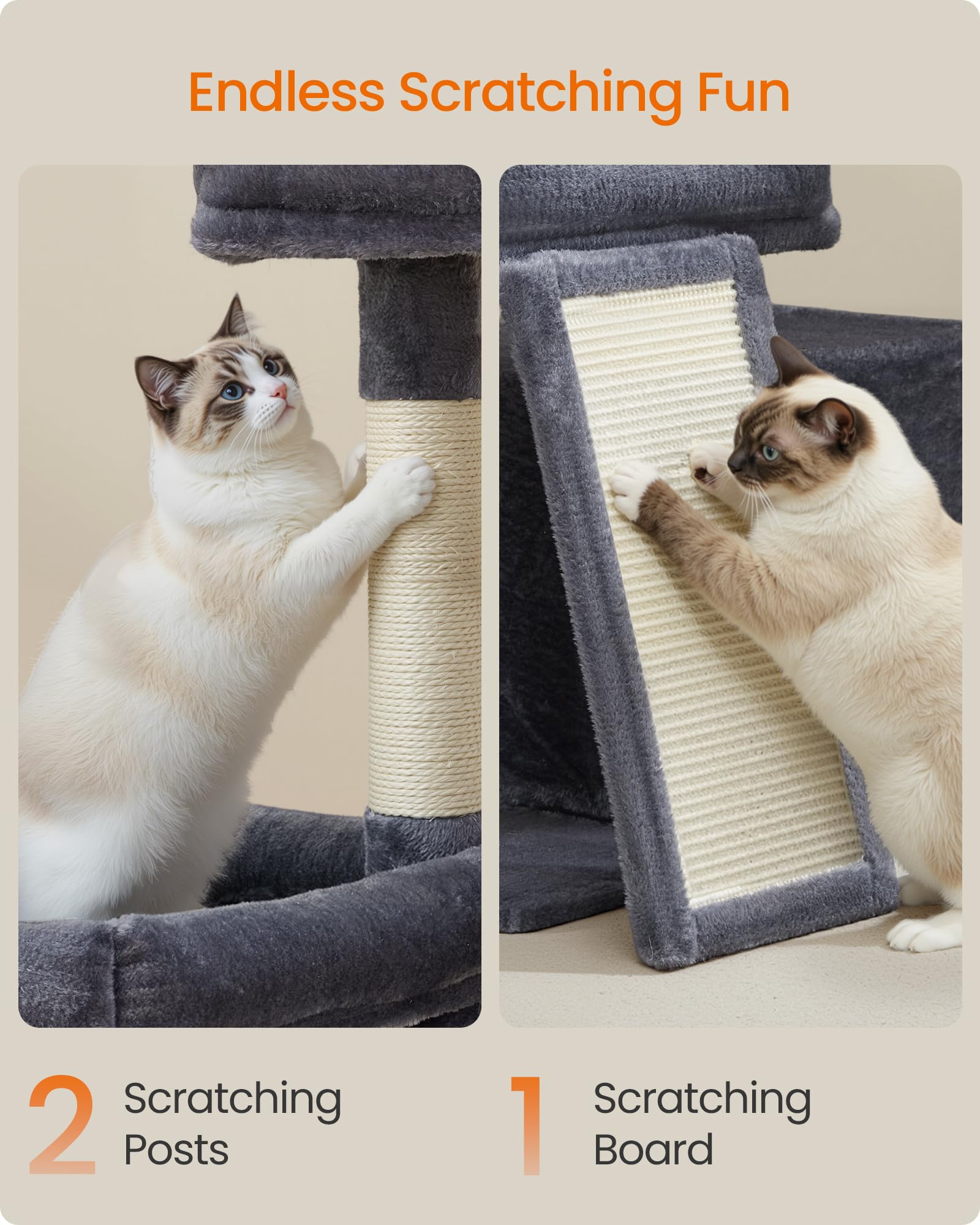 FEANDREA rampe et panneau griffoir facilitant l'accès pour chats