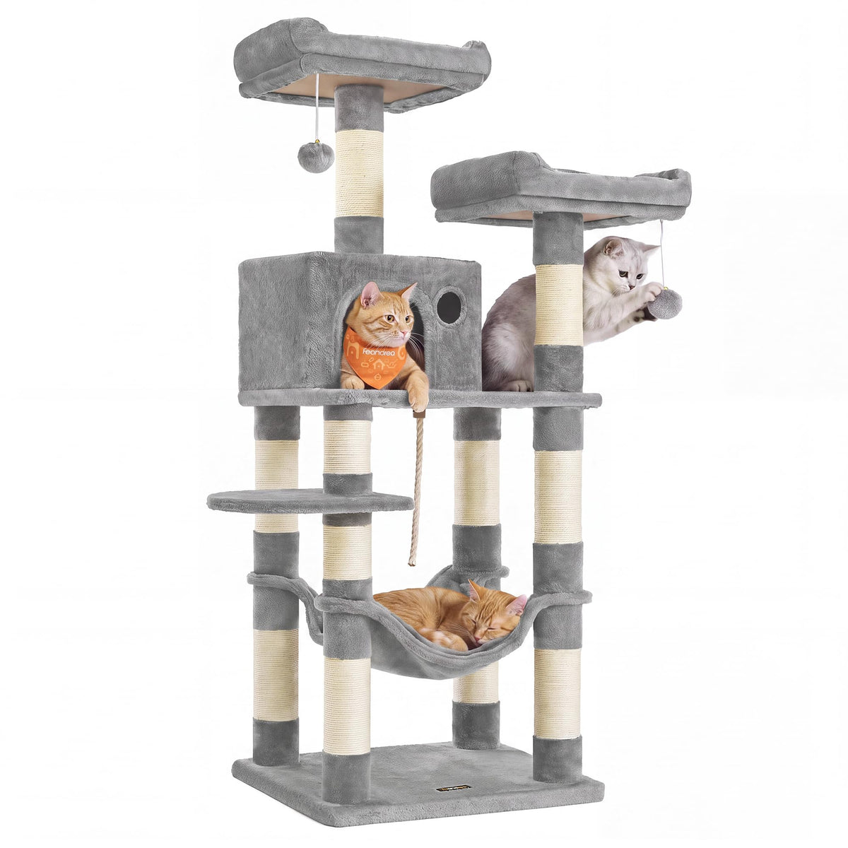 FEANDREA arbre de face grand format montrant plusieurs zones de repos