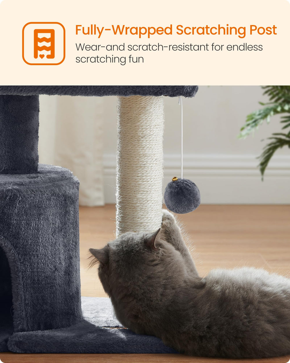 FEANDREA chaton qui joue et griffe, stimulation et divertissement