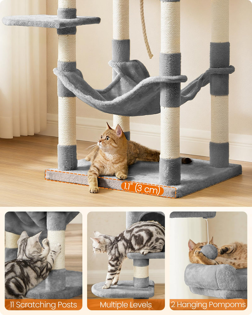 FEANDREA comparaison taille avec chat illustrant proportions réelles