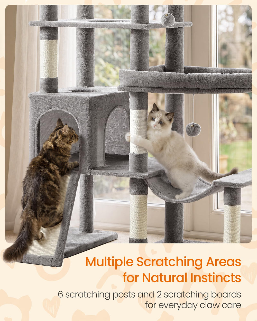 FEANDREA double plaque de base assurant stabilité pour chats lourds