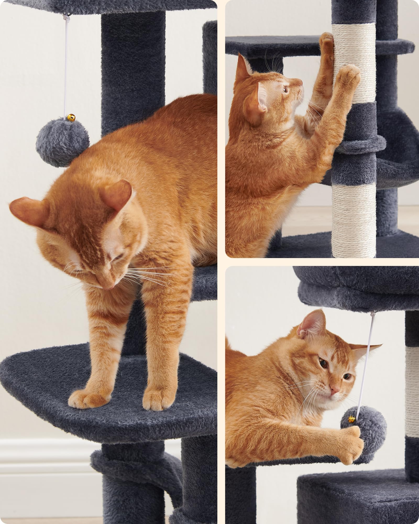 FEANDREA comparaison taille avec chat montrant échelle et proportions réelles