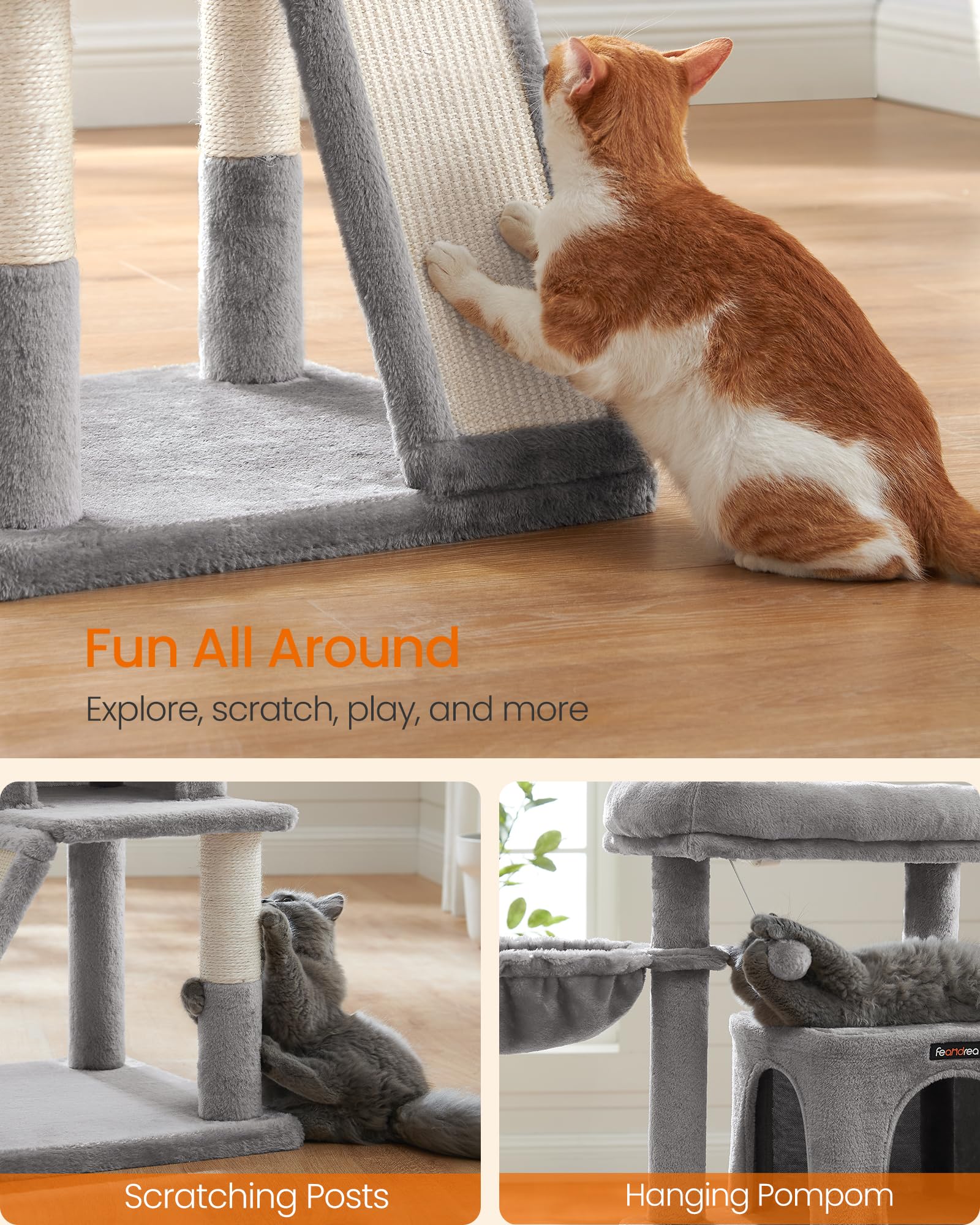 FEANDREA comparaison taille avec chat montre espace de couchage