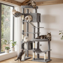 FEANDREA face avant de l'arbre à chat montrant six niveaux et design stable
