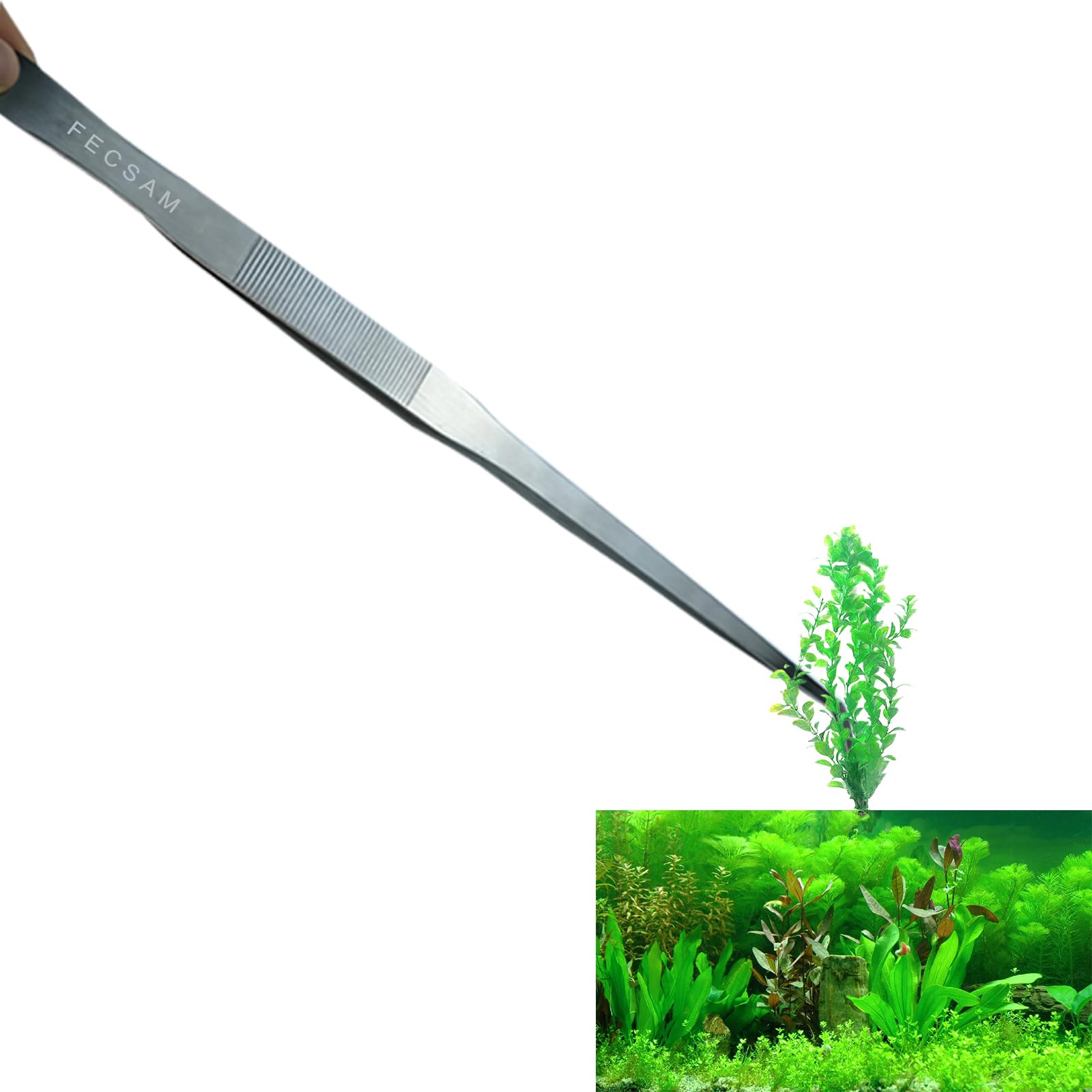 Fecsam pince mise en scène aquascape facilitant positionnement des plantes