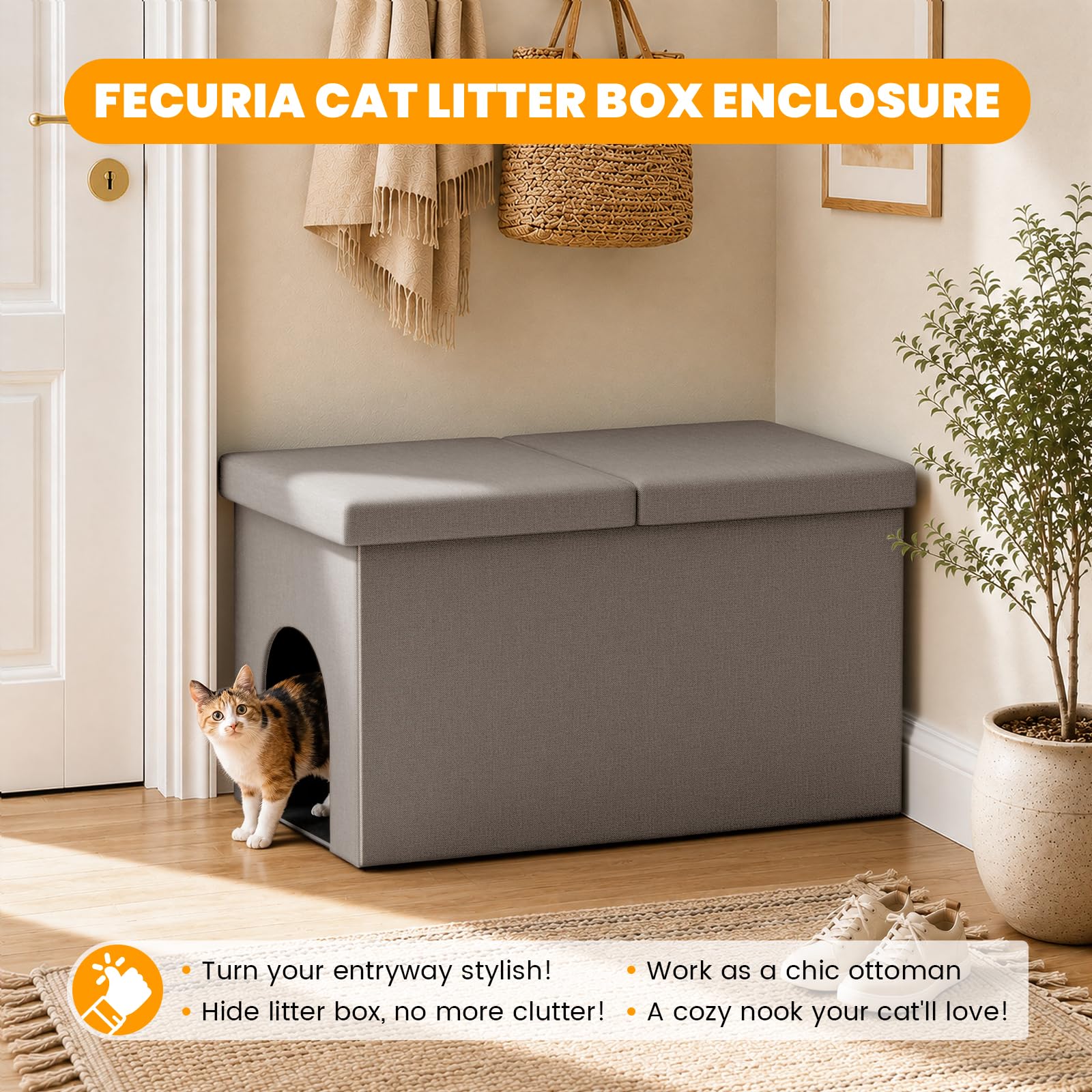 Fecuria taille comparée à un chat, espace suffisant pour se retourner