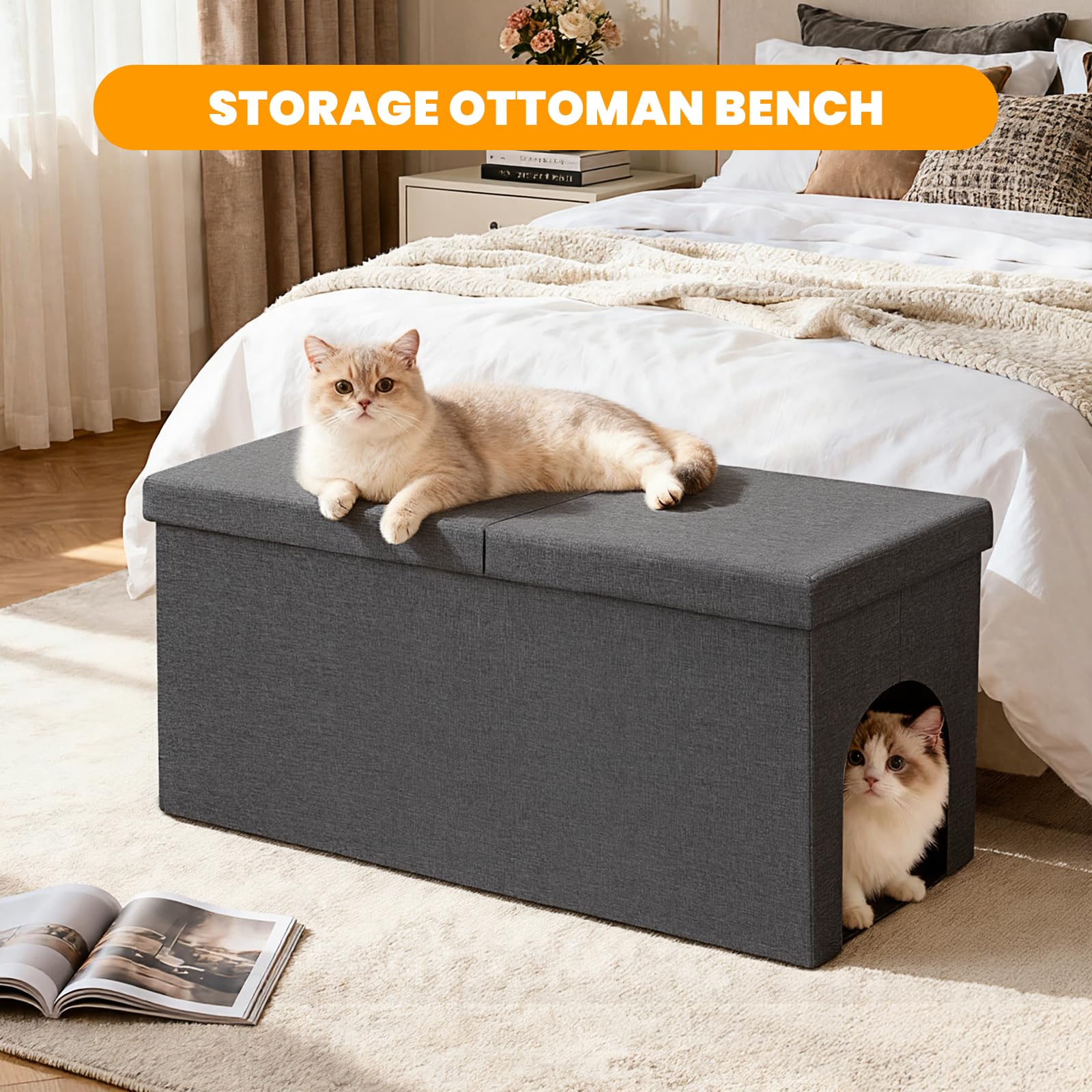 Fecuria comparaison de taille avec chat, espace confortable pour grand chat