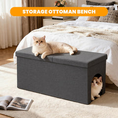 Fecuria comparaison de taille avec chat, espace confortable pour grand chat