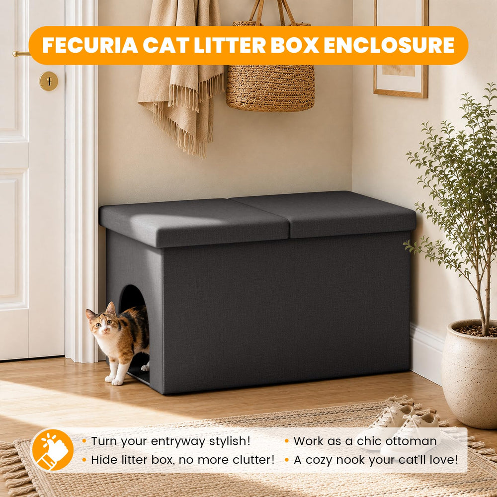 Fecuria utilisé comme assise par un invité, multifonction et solide