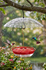 FEED GARDEN mangeoire colibri vue avant attire les oiseaux facilement