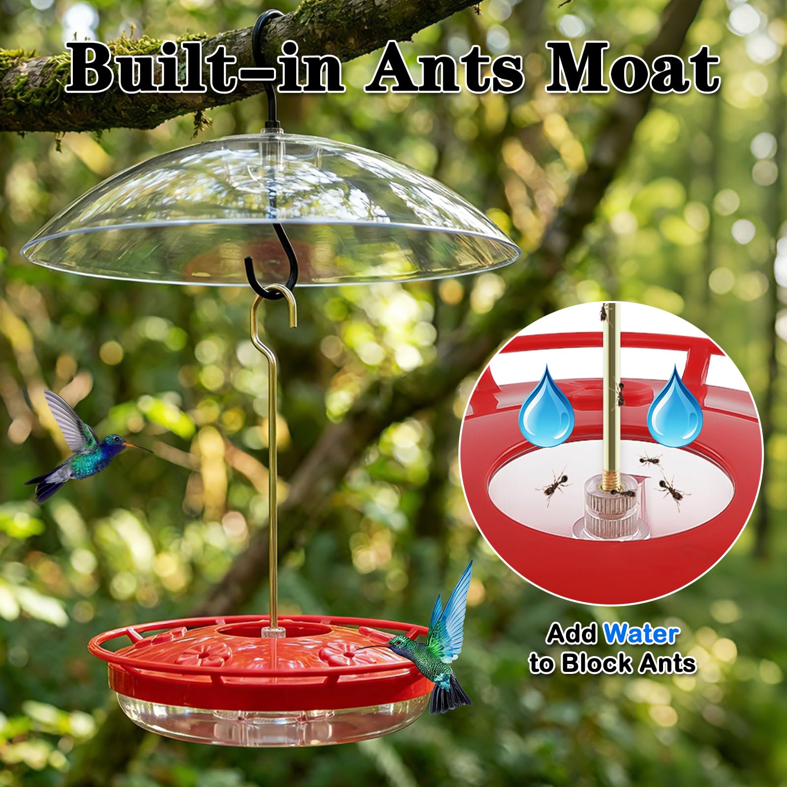 FEED GARDEN ports rouges attrayants pour colibris et alimentation simple